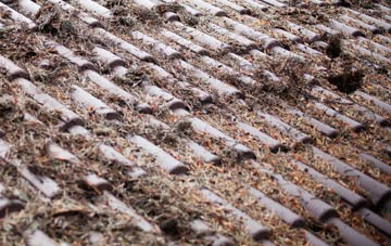 West Beckham roof cleaning companies